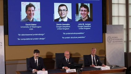 Nobel de Química premia avances sobre la predicción de la estructura de las proteínas con IA