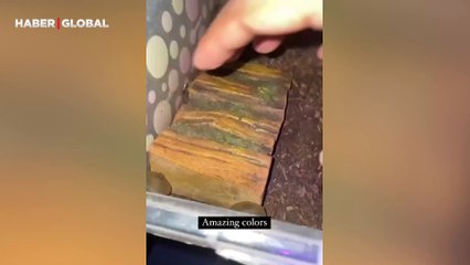 Bir akrep üzerine UV lamba tutulduğunda bakın ne oldu