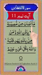 Al-Quran - Surah 64 - At-Taghaabun - Ayah 11 | daily tilawat e quran | hafiz salman ali