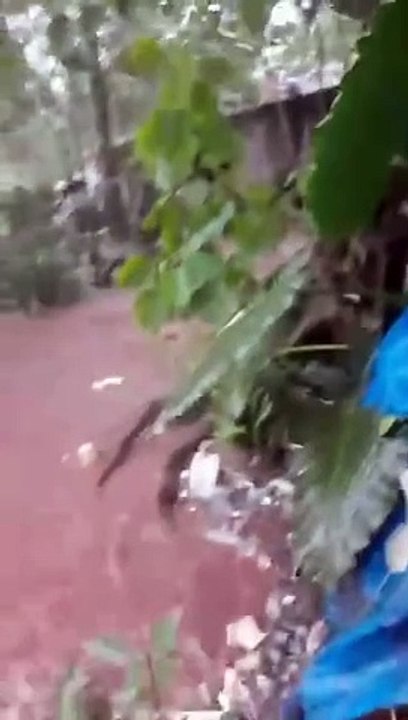 Forte pluie ce mercredi sur Conakry