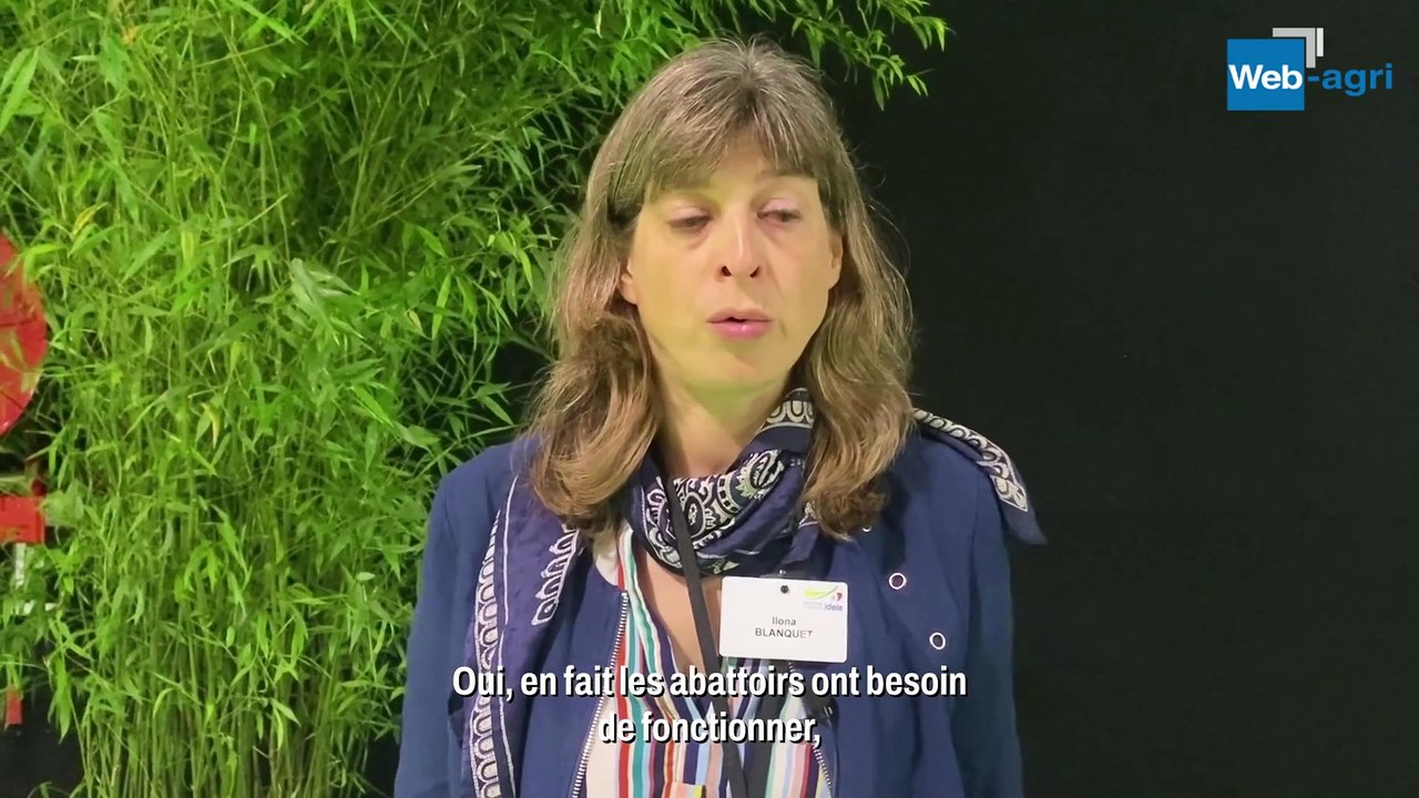 Le cours des bovins finis incite les éleveurs à maintenir leurs ateliers d'engraissement