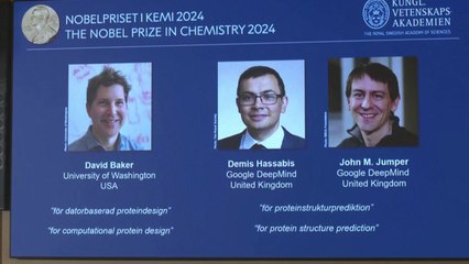 노벨 화학상 '구글AI 딥마인드' 허사비스 등 3인 / YTN