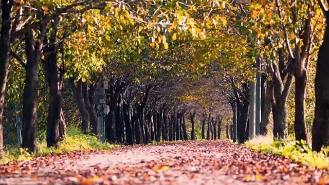 In der Nacht, der Mond so hell, _Deine Augen funkeln wie ein Zauberspell.