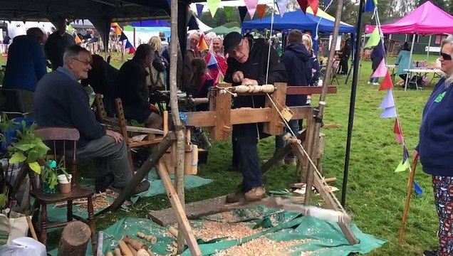 Forest Showcase woodturning