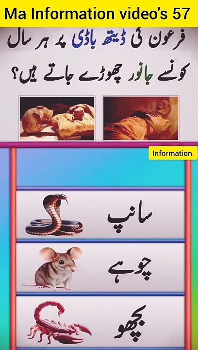 Best entertaining video n question