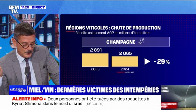 Miel et vin: mauvaises récoltes pour les agriculteurs français à cause des intempéries