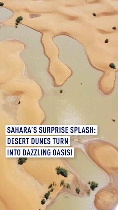 Sahara's Surprise Splash: Desert Dunes Turn into Dazzling Oasis!