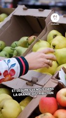 Le réfrigérateur détruit-il les vitamines ?