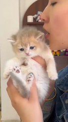 "Who Can Translate For Me What it is Saying Follow For More Videos Have Trending reels"...!!