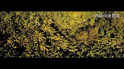 Đoàn thám hiểm đến với hòn đảo ma và gặp những sinh vật bí