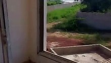 VIDEO-02