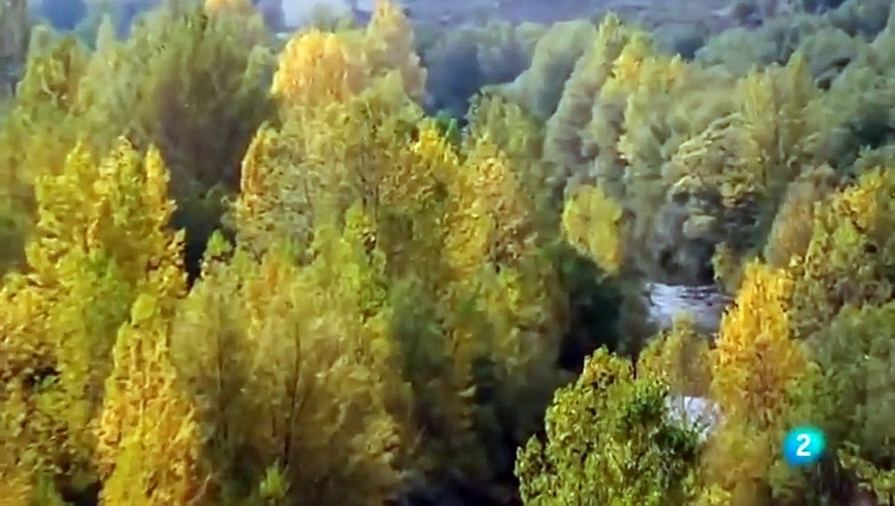 Del Imperio cristiano a los reinos bárbaros (Memoria de España 5⁄26)