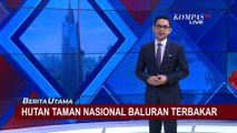 Asap Tebal Ganggu Pengendara Akibat Kebakaran Hutan Taman Nasional Baluran