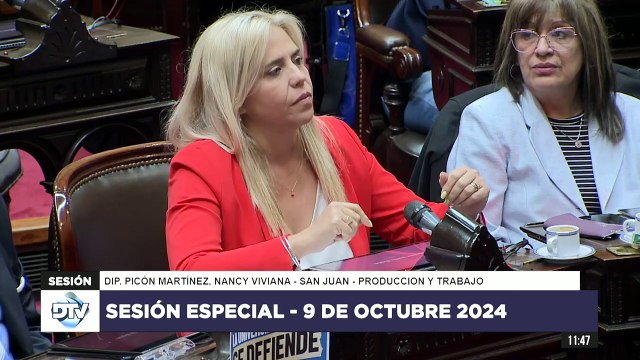 Diputada Picón Martínez - PyT - Sesión Especial al financiamiento universitario 09-10-2024
