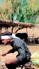 Papar wala agya End zaror dykhna