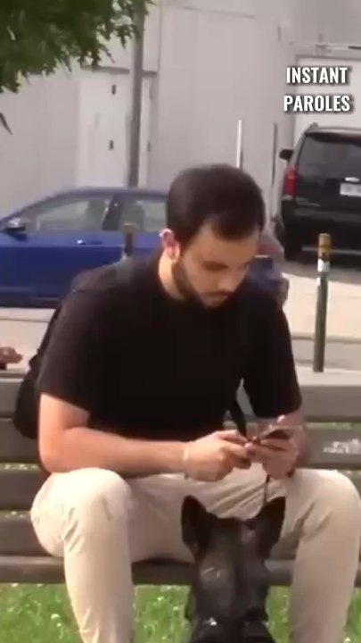 Cet homme assis avec son chien intervient en voyant une femme dérangée par un inconnu