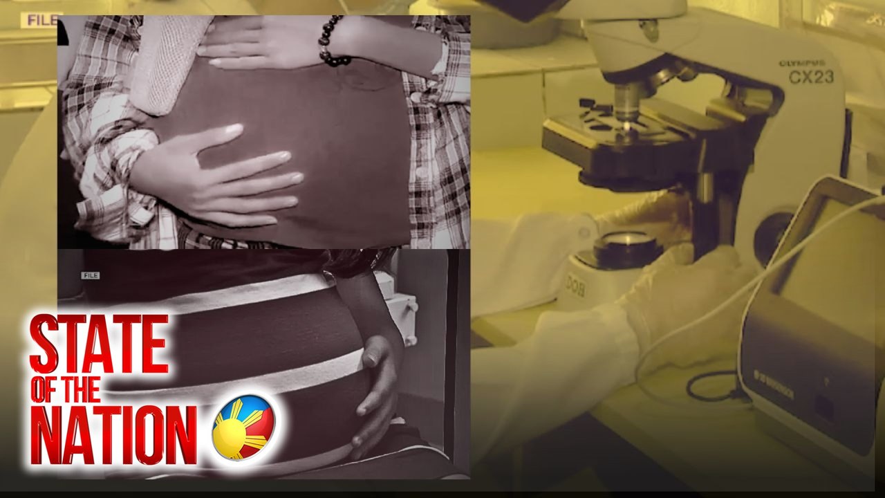 20 Pinay na ginawang surrogate mothers sa Cambodia, nasagip; 13 sa kanila, buntis na | SONA