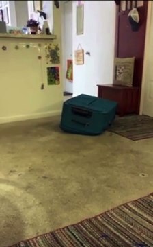 Chiude il fidanzato in valigia e lo ritrova privo di vita