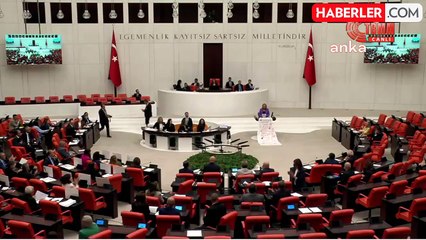 Kadına Yönelik Şiddet TBMM'de Tartışılıyor
