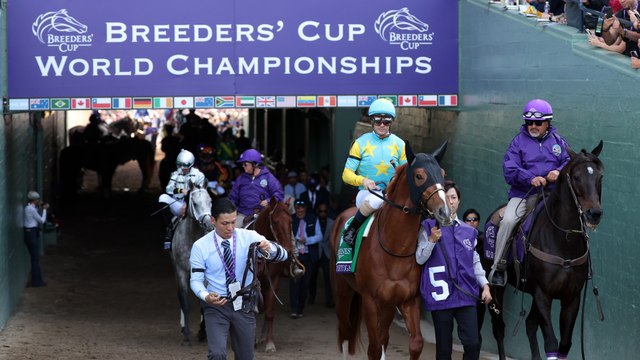 Impact of Football's Dominance on Breeders' Cup Betting