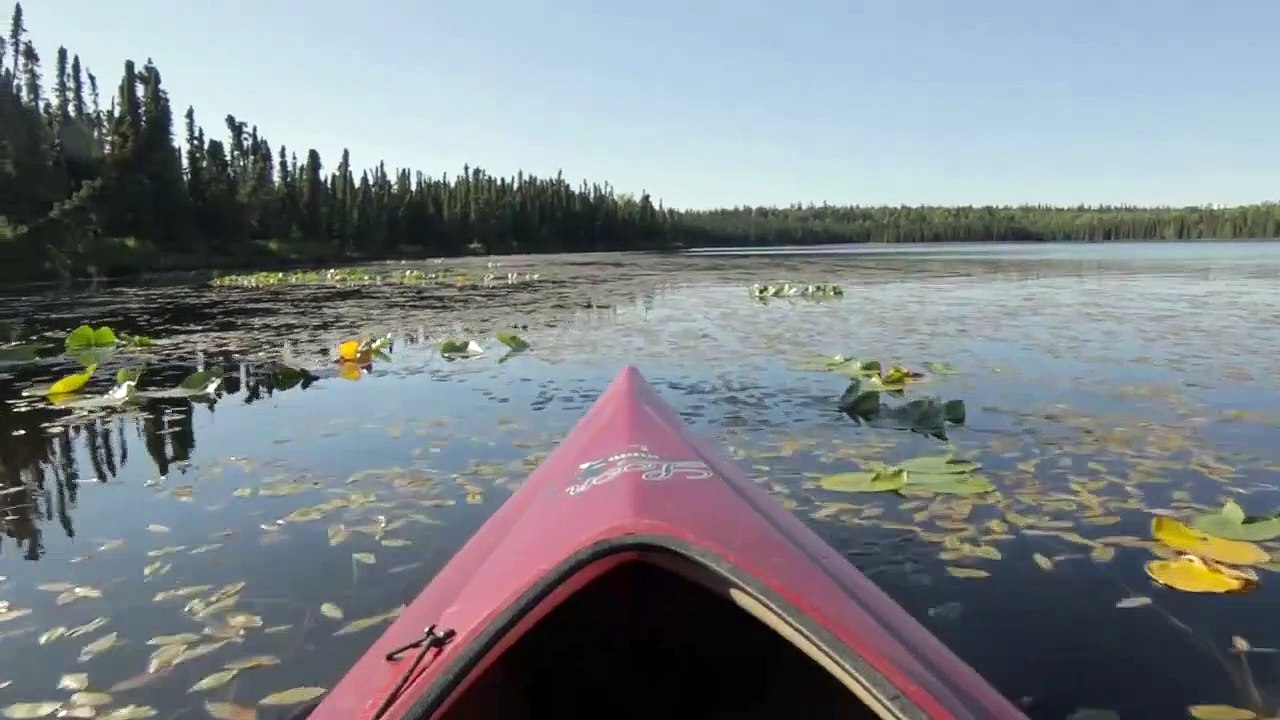 Boat on the river