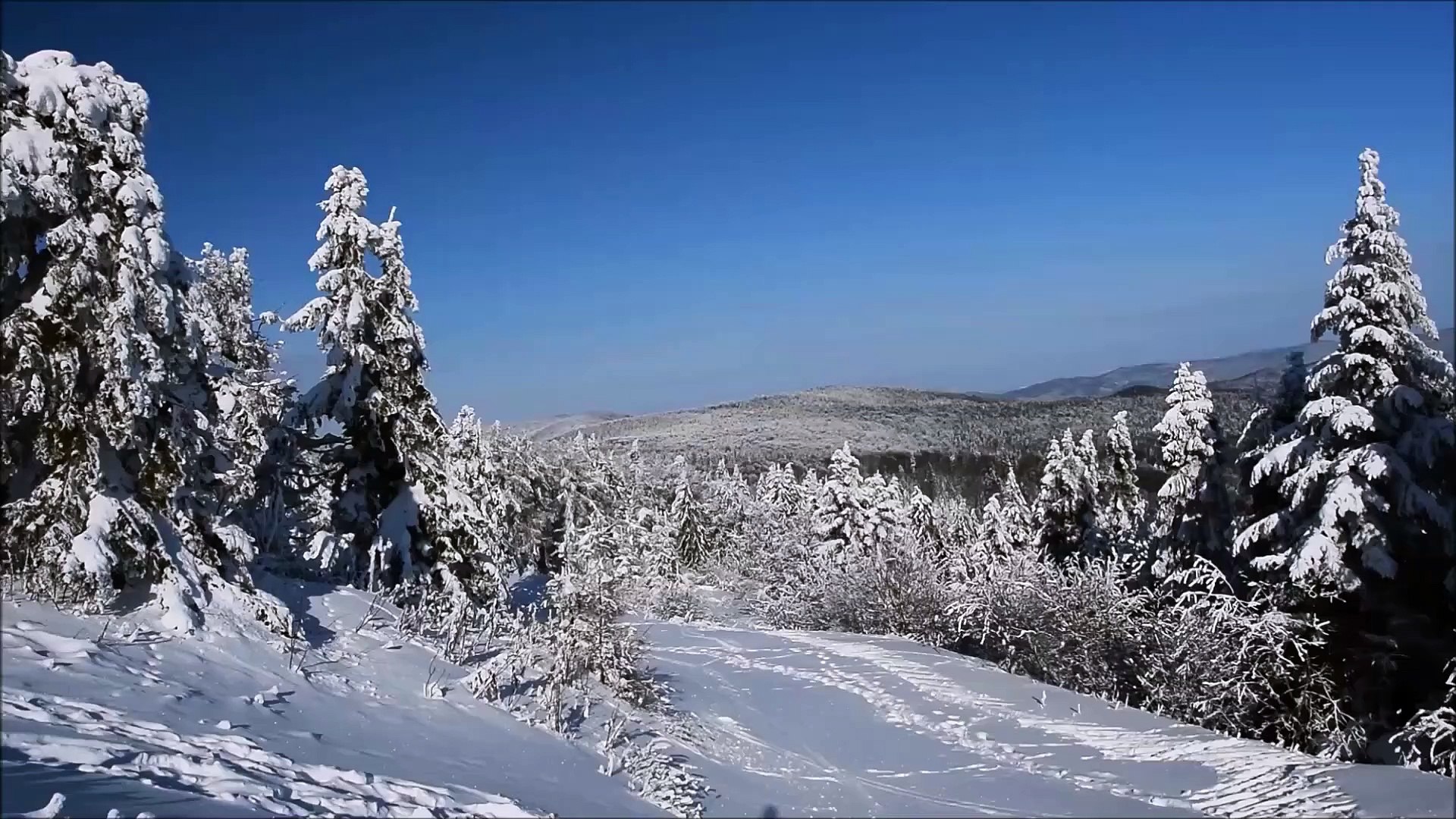 ⁣Trees with snow-youtube, facebook, whatsapp web, translate, google, instagram, ig, amazon, gmail, go