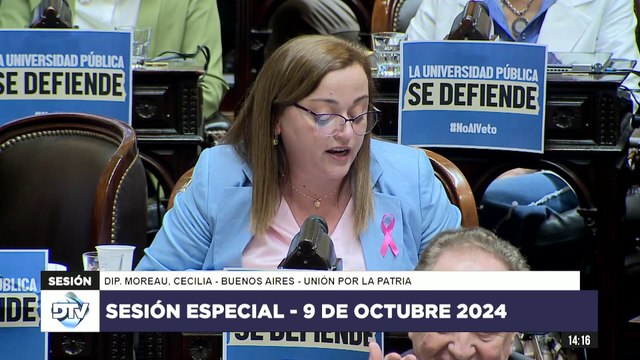 Son el trencito de la tristeza del gobierno actual : Moreau apuntó al PRO y otros que acompañan el veto de Milei al Financiamiento Educativo