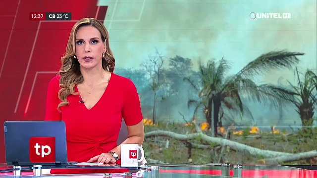 La lluvia no llegó a Roboré: Pobladores lamentan daños a sus cultivos