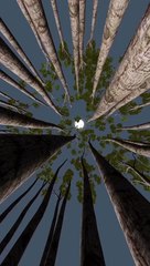 Viral | Trending | Wow | Chill | Relax | ASMR