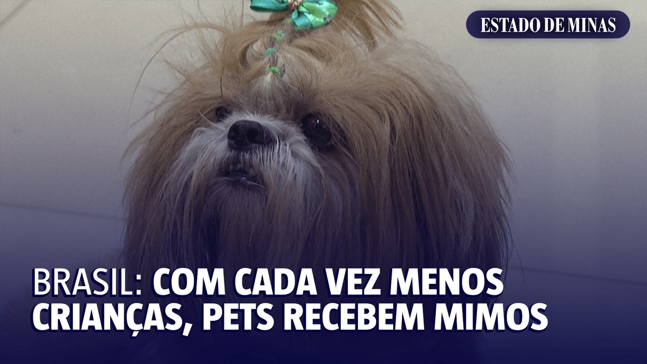 Brasil: com cada vez menos crianças, pets recebem mimos