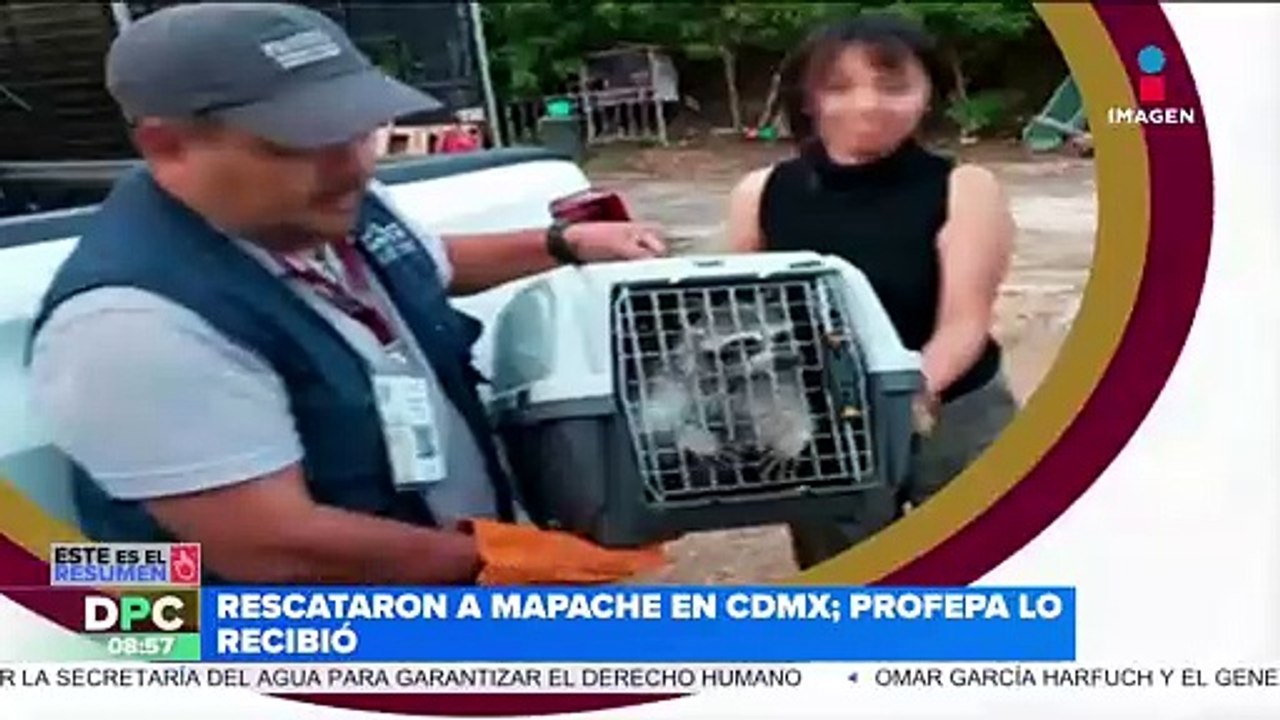 La Guardia Nacional detienen a dos integrantes del CJNG