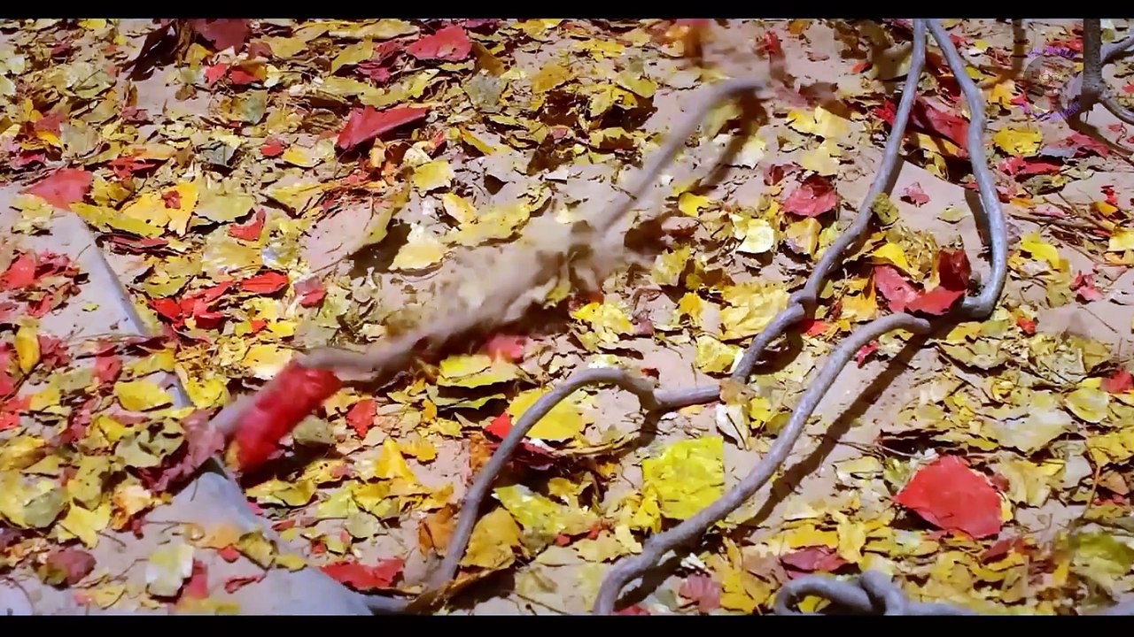 A collection of tomb robbers and ghosts blowing lanterns, ancient mythical beasts bite humans, and the tomb robber team is doomed. Adventure Action movies clip