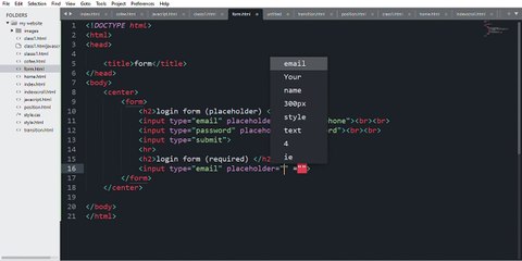 C__Users_DELL_Desktop_my website_form.html • (my website) - Sublime Text (UNREGISTERED) 2024-10-09 07-47-30