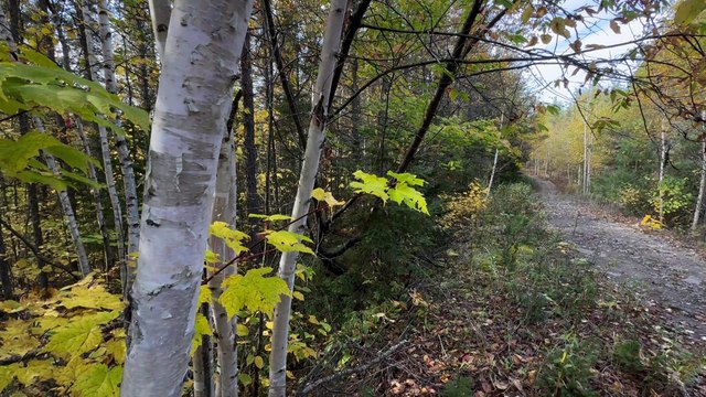 CH 09 Oct TOPO Developpement plateau La Malbaie