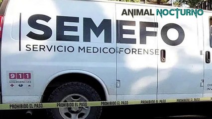 Hallazgo de restos humanos en una Marisma
