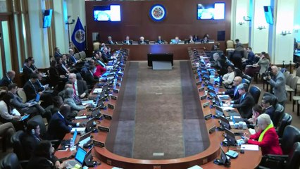 Reprezantan pèmanan a.i peyi Dayiti nan OEA Gandy Thomas denonse vyolasyon dwa migran ayisyen yo.