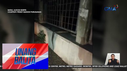Mga motorista, naantala ang biyahe dahil sa tumatawid na sawa | Unang Balita