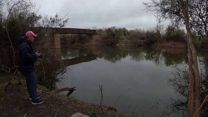 Este Arroyo es Increíble  Pesca y Cocina, Bagres Amarillos Asado y Mojarreada