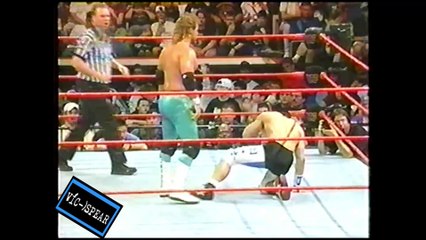 Taka Michinoku vs. Scott Taylor - RCTV 2000 - WWF (1998) Español Latino