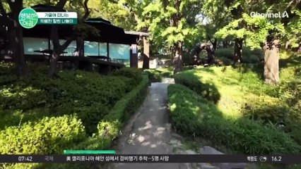 낭만의 계절 가을, 오페라 '투란도트' 보고 힐링해요♬ 최초의 내한 공연의 감동 #투란도트