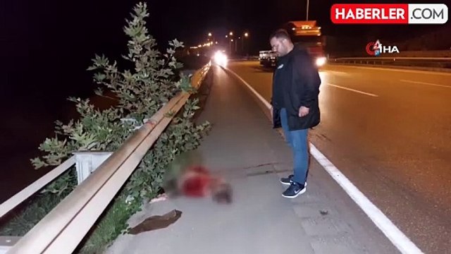 Başıboş Köpek Kazaya Sebep Oldu: 1 Yaralı
