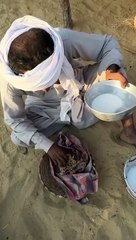 Beautiful View of Rohi Cholistan Desert, Pakistan