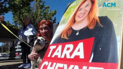 Every dog has its election day