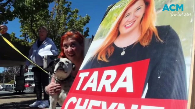 Every dog has its election day