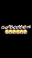 جب اللہ تعالیٰ کچھ چاہتا ہے تو وہ کہتا ہے "کن" یعنی "ہو جا"، اور وہ فوراً ہو جاتا ہے۔ ہماری زندگی کی مشکلات، پریشانیاں اور مسائل بھی اللہ کے ایک حکم سے ختم ہو سکتے ہیں۔ بس ہمیں اپنے رب پر بھروسہ اور اس کے حکم "کن فیکون" پر یقین رکھنا ہے۔