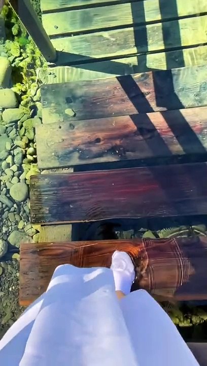 MasahAllah ❤️❤️❤️#shorts #shortsvideos #saleemshafi18 #youtubeshorts