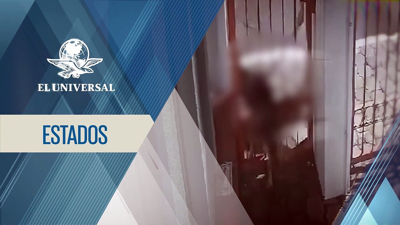 Imperdonable  sujeto golpea a perrito atorado en una reja en Puebla