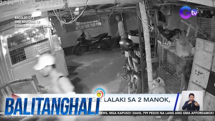 Pagtangay ng 2 lalaki sa 2 manok, nahuli-cam | Balitanghali