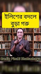 ইলিশের বদলে বুড়া গরুও দিলো না মোদি মিঞা #news