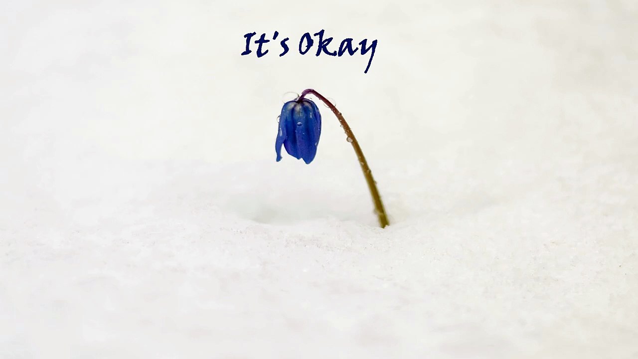 Sean Ferree - It's Okay (Official Music Video)